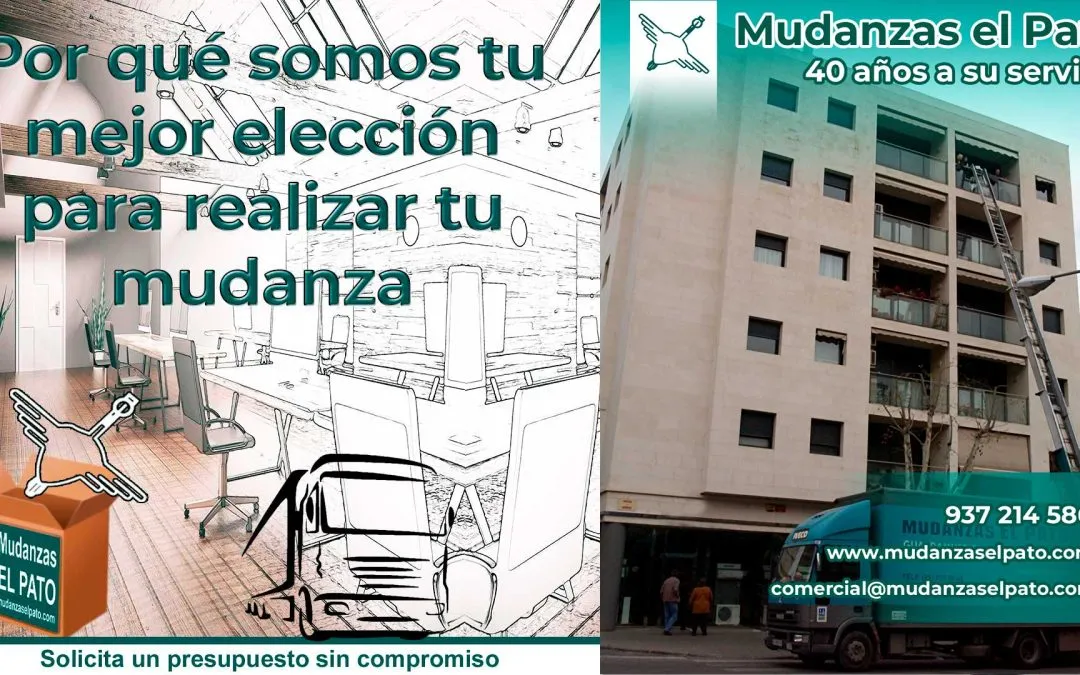 Los Grandes Desafíos para las Empresas de Mudanzas (2/4) – Ecosostenibilidad