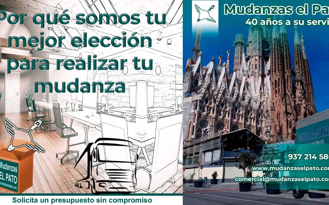 Los Objetos más raros que hemos encontrado en una Mudanza