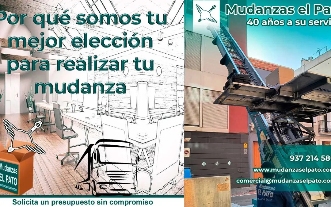 ¿Cómo se prevé que influya la Inteligencia Artificial en el sector de las Mudanzas?