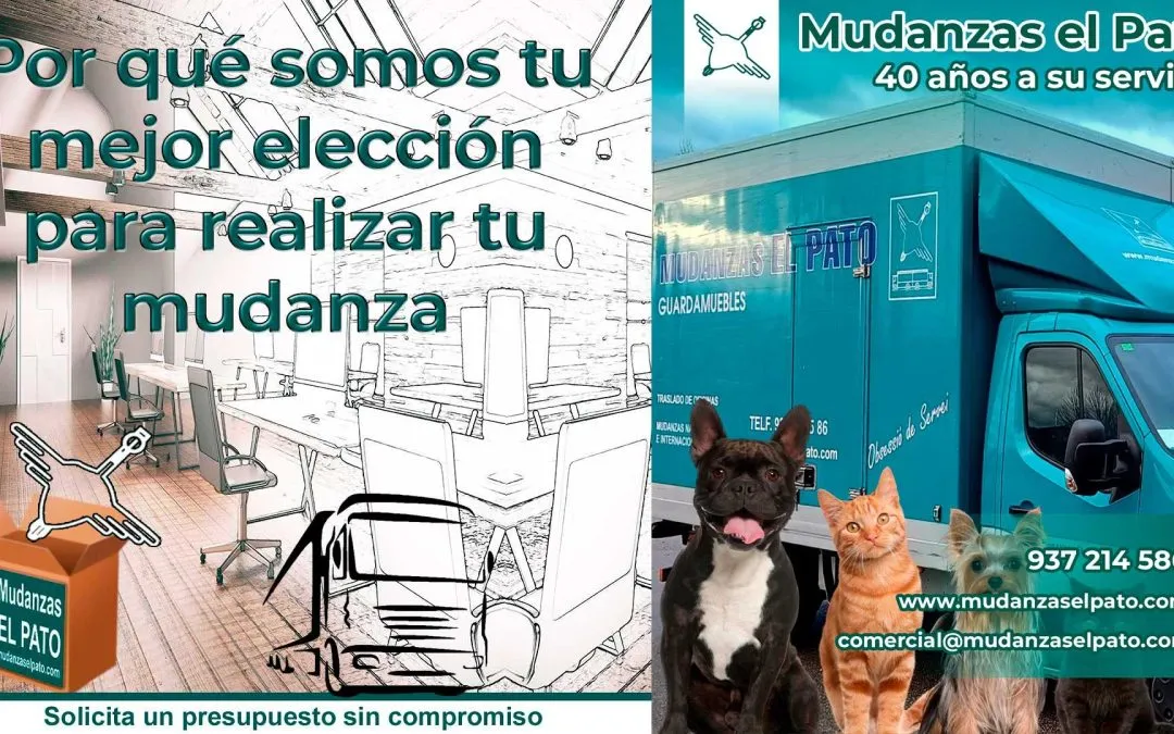 Cómo Mudarte con Mascotas 🏠📦🐶🐱🚚