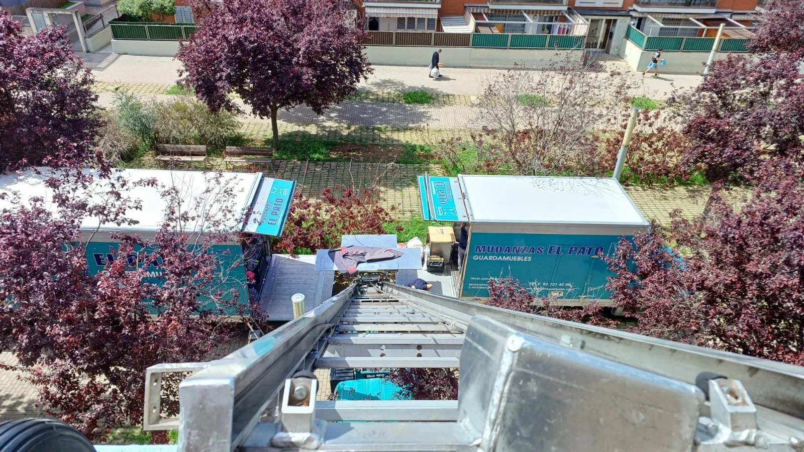 Imagen de WhatsApp 2025-04-23 a las 14.55.45_0620c7b7