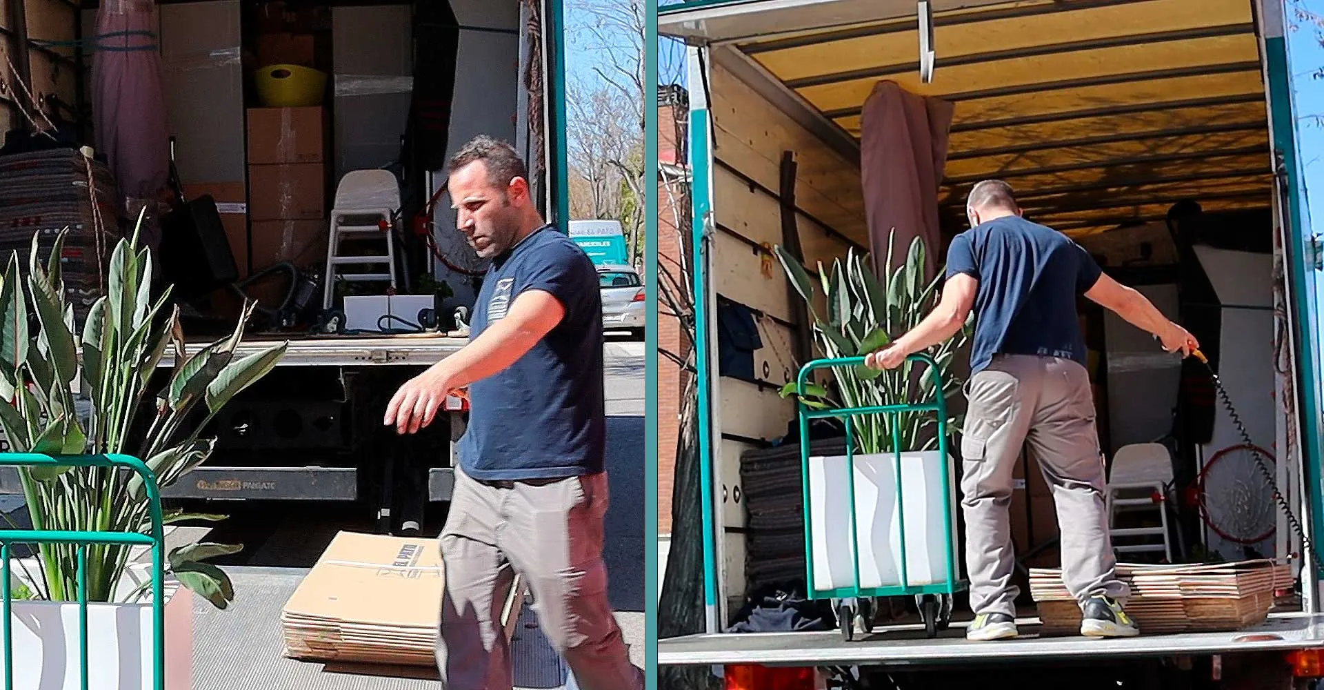 blog-elementos-especiales-01