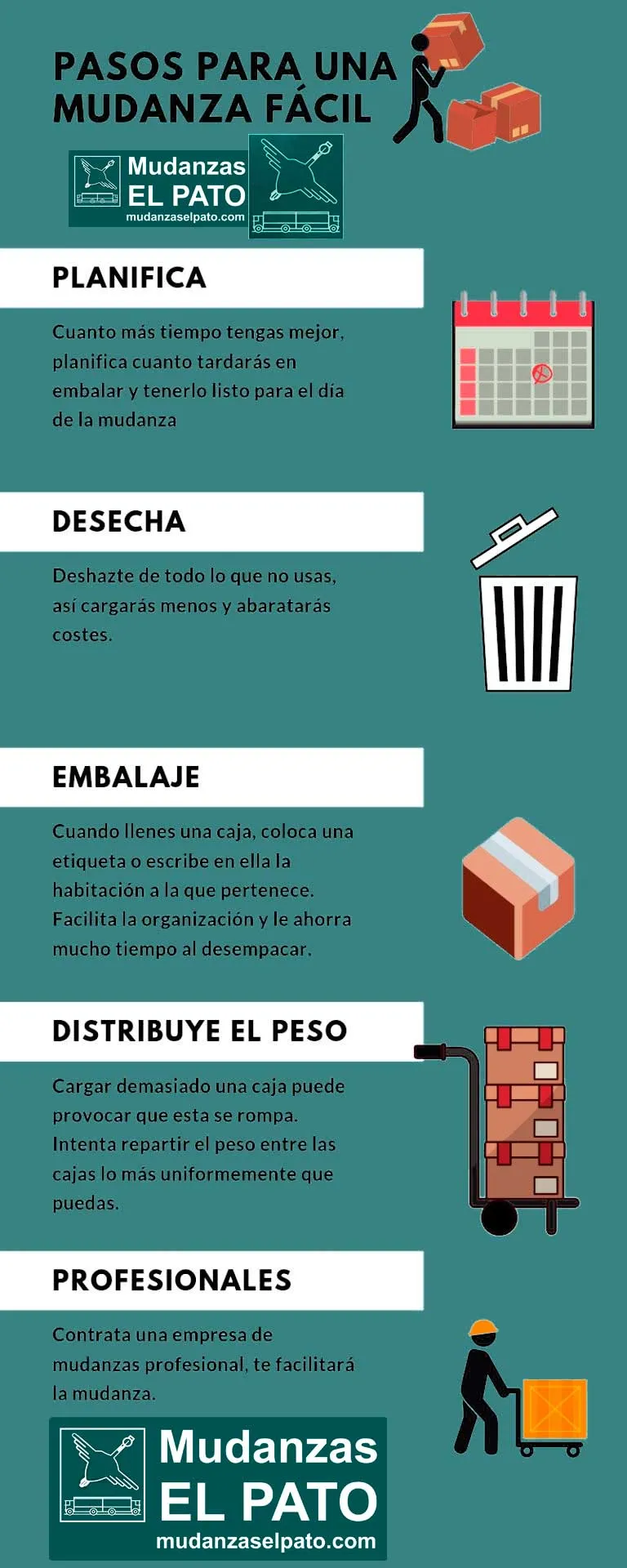infografia-mudanzaselpato-profesionales-mudanzas