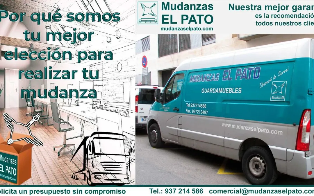 Cómo embalar y trasladar Esculturas para una mudanza