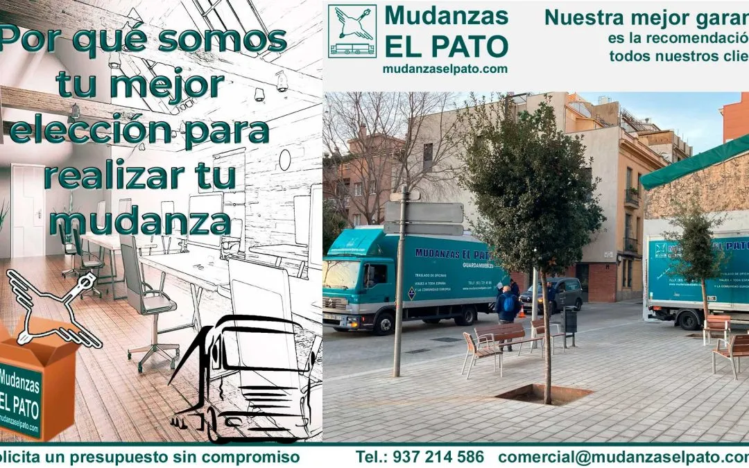 Consejos para reducir el impacto ambiental en tu Mudanza