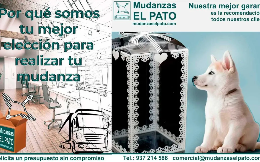 Consejos para un buen embalaje de mudanza