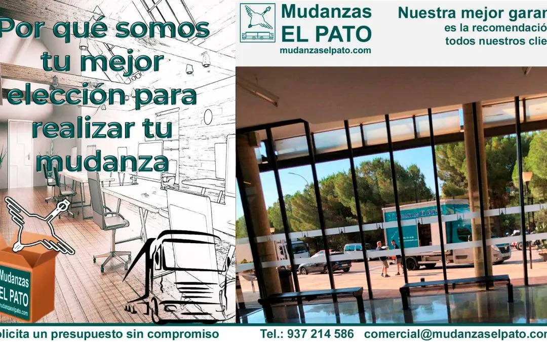 Mudanzas de Empresas y Oficinas en Verano