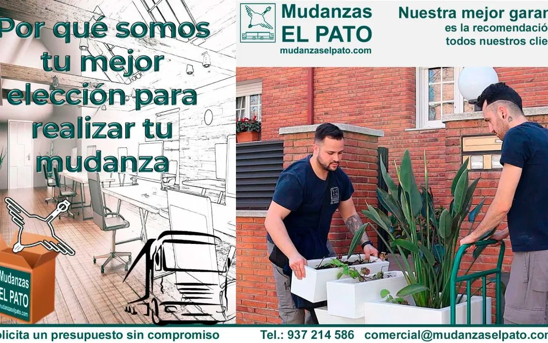 ¿Por qué somos el Nº 1 en Mudanzas?. (X) Por nuestra atención a Elementos Especiales