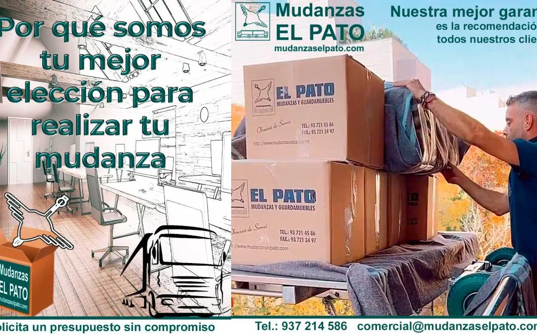 ¿Por qué somos el Nº 1 en Mudanzas?. (V) Por Maquinaria Especializada