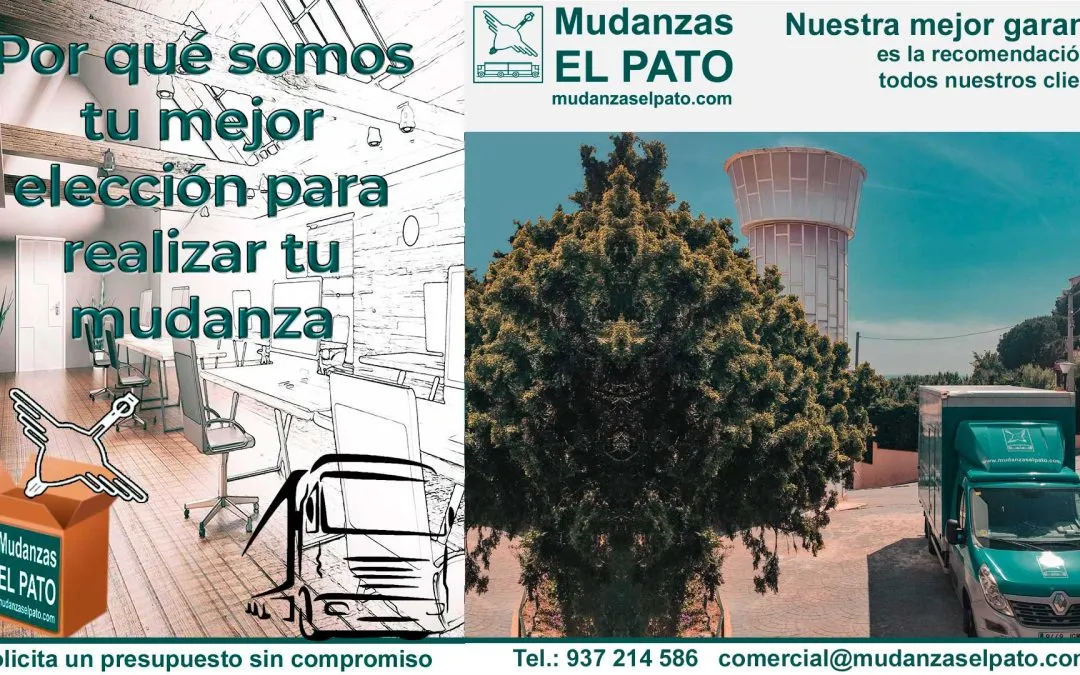 Qué debes tener en cuenta para organizar tu Mudanza de Oficina (I)