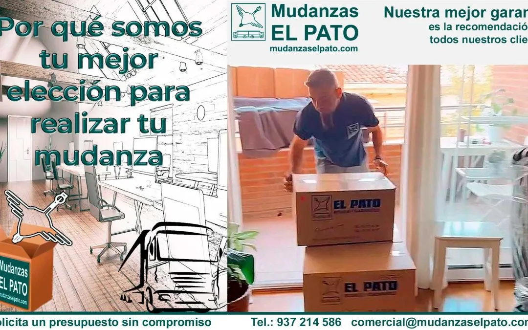 Sistemas Profesionales de Embalaje para Mudanzas (II)