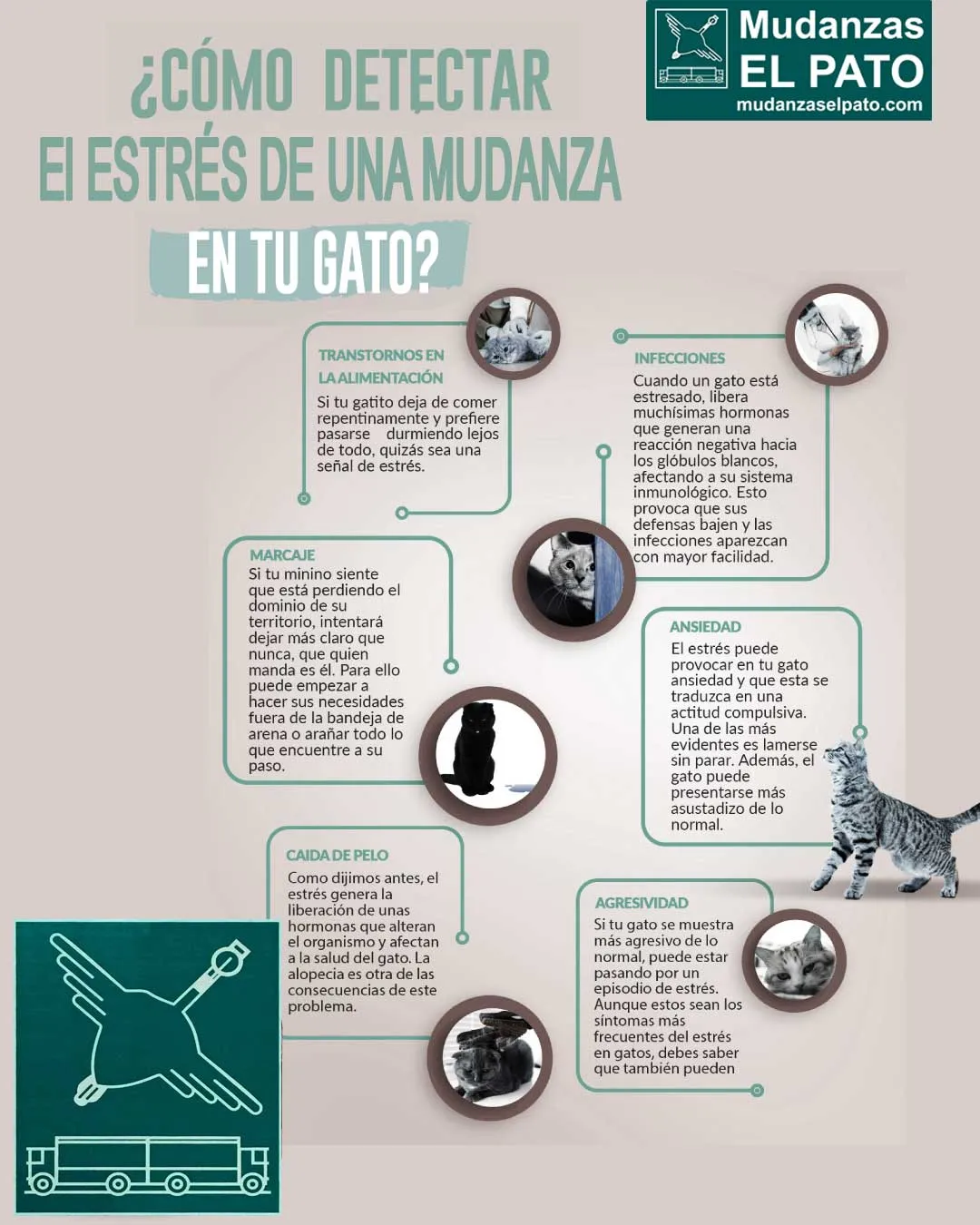 mudanzaselpato-infografia-mudanza-con-tu-gato-el-estres