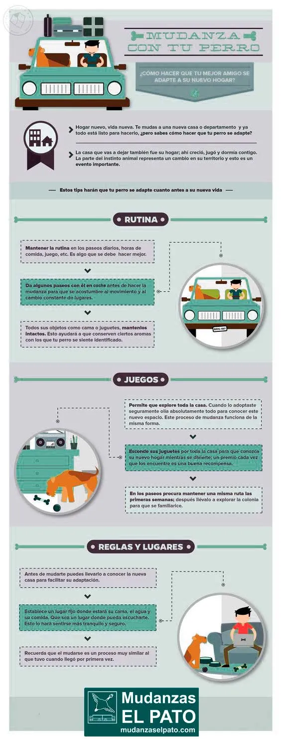 mudanzaselpato-infografia-mudanza-con-tu-perro
